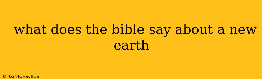  What Does The Bible Say About A New Earth