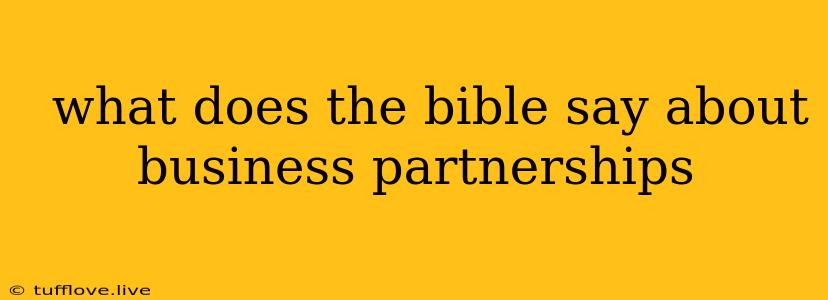  What Does The Bible Say About Business Partnerships