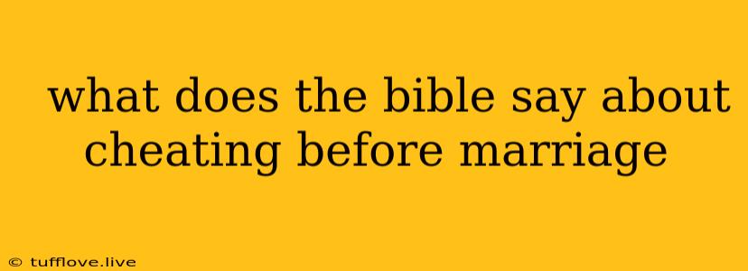  What Does The Bible Say About Cheating Before Marriage