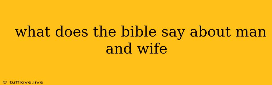  What Does The Bible Say About Man And Wife