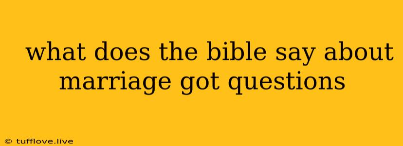  What Does The Bible Say About Marriage Got Questions