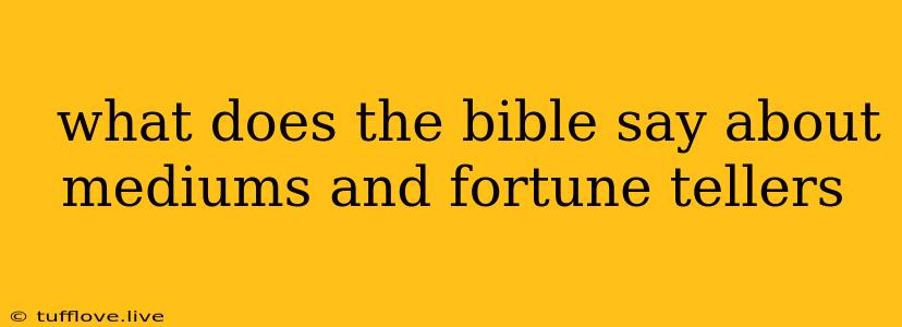  What Does The Bible Say About Mediums And Fortune Tellers