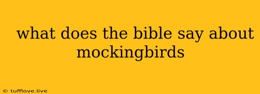  What Does The Bible Say About Mockingbirds