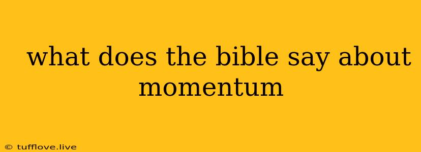  What Does The Bible Say About Momentum