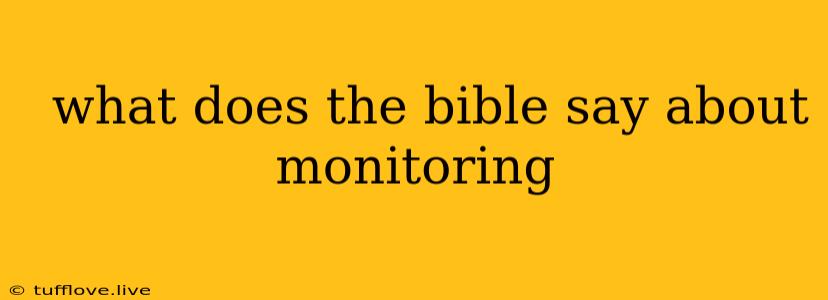  What Does The Bible Say About Monitoring