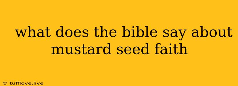  What Does The Bible Say About Mustard Seed Faith