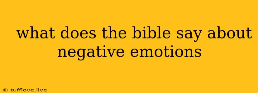  What Does The Bible Say About Negative Emotions