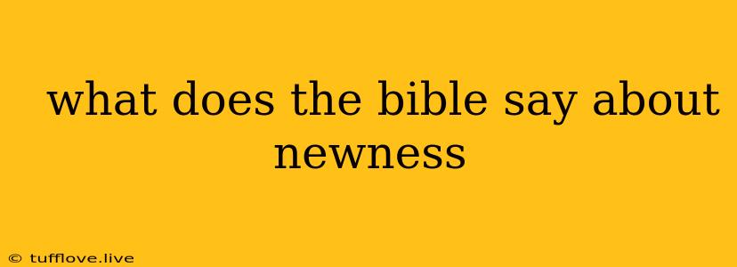  What Does The Bible Say About Newness