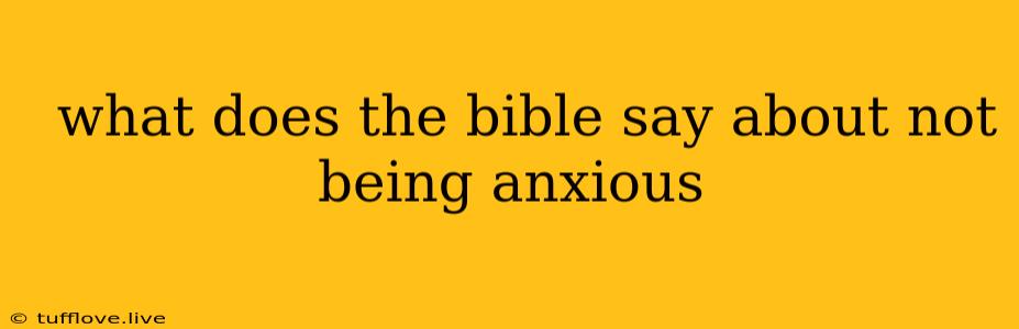  What Does The Bible Say About Not Being Anxious