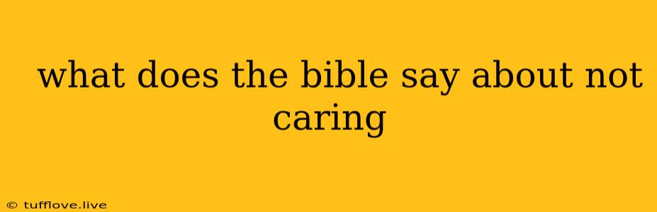  What Does The Bible Say About Not Caring