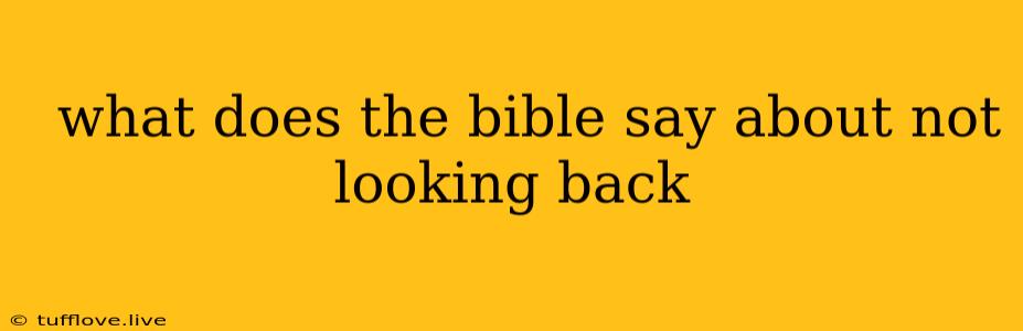  What Does The Bible Say About Not Looking Back