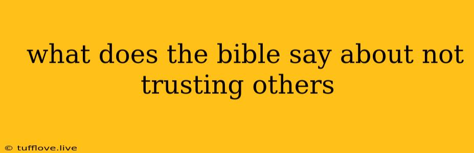  What Does The Bible Say About Not Trusting Others