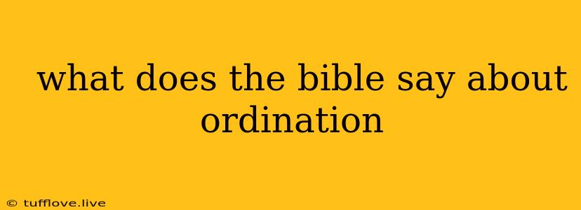  What Does The Bible Say About Ordination