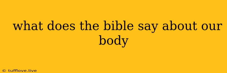  What Does The Bible Say About Our Body