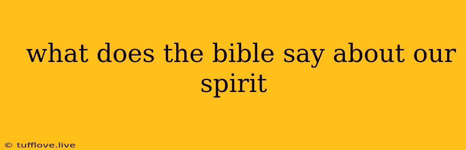  What Does The Bible Say About Our Spirit