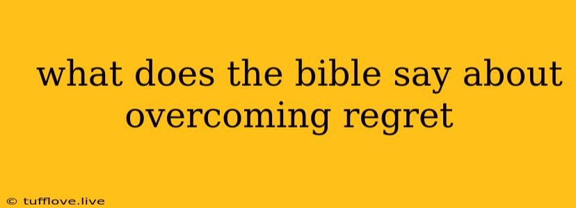  What Does The Bible Say About Overcoming Regret