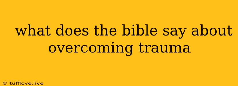  What Does The Bible Say About Overcoming Trauma