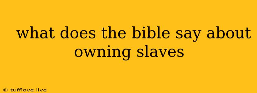  What Does The Bible Say About Owning Slaves