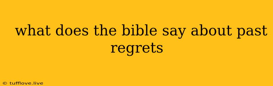  What Does The Bible Say About Past Regrets