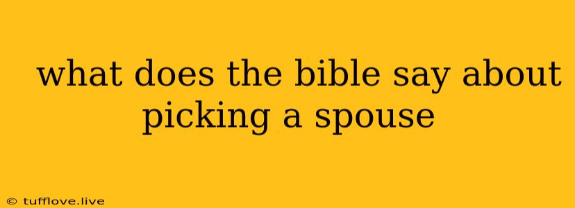  What Does The Bible Say About Picking A Spouse