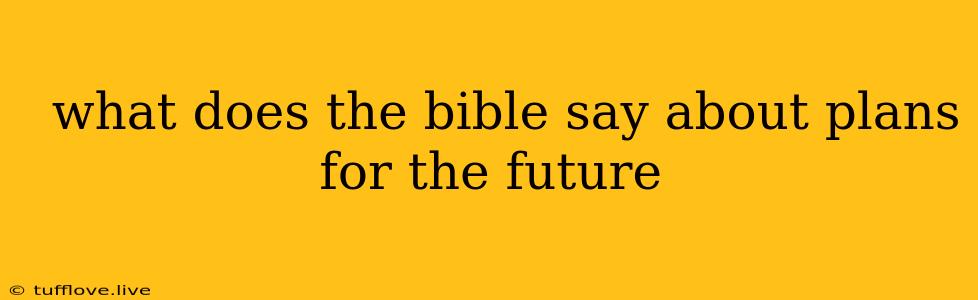  What Does The Bible Say About Plans For The Future