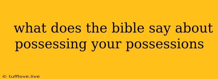  What Does The Bible Say About Possessing Your Possessions