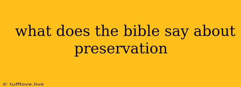  What Does The Bible Say About Preservation