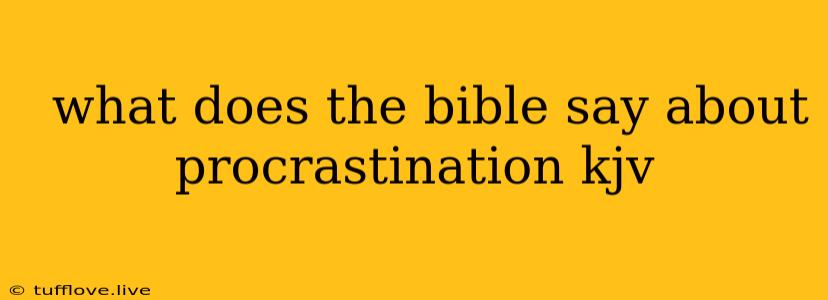  What Does The Bible Say About Procrastination Kjv