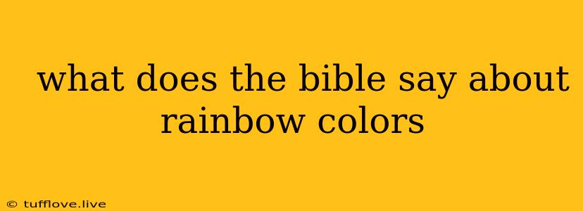  What Does The Bible Say About Rainbow Colors