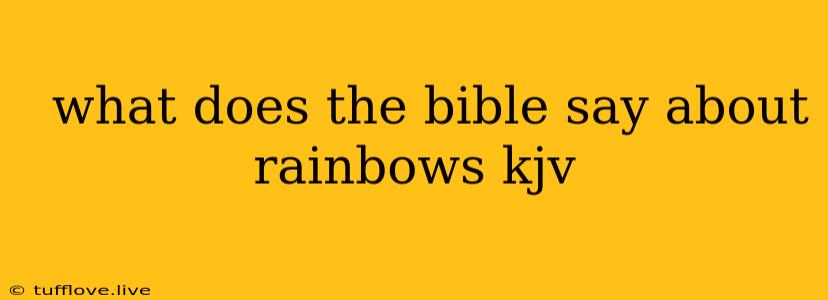  What Does The Bible Say About Rainbows Kjv