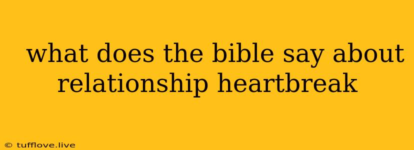  What Does The Bible Say About Relationship Heartbreak