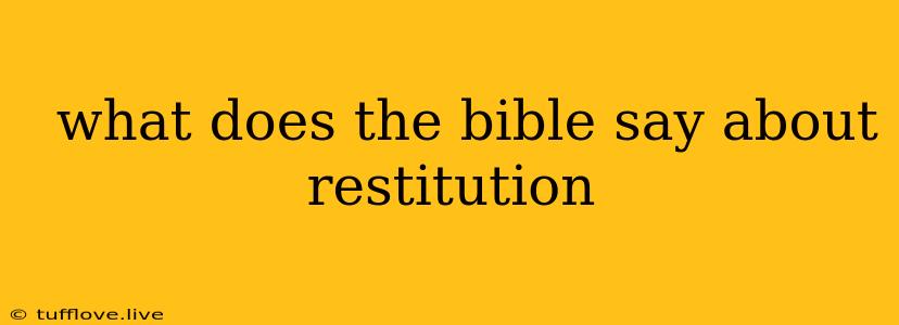  What Does The Bible Say About Restitution