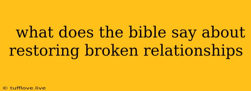  What Does The Bible Say About Restoring Broken Relationships