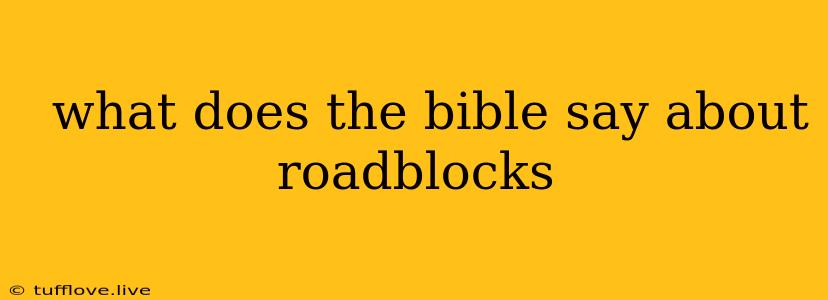  What Does The Bible Say About Roadblocks