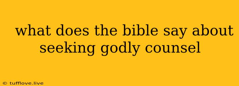  What Does The Bible Say About Seeking Godly Counsel