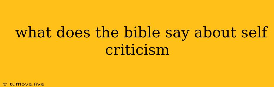  What Does The Bible Say About Self Criticism