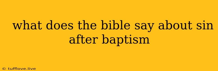  What Does The Bible Say About Sin After Baptism