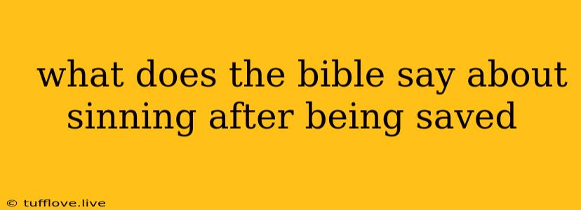  What Does The Bible Say About Sinning After Being Saved