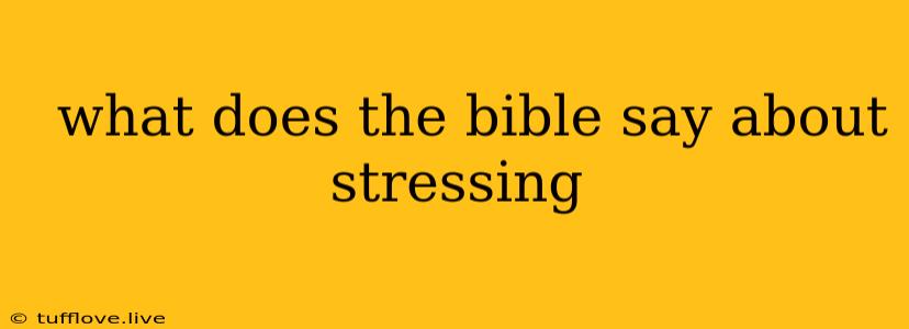  What Does The Bible Say About Stressing