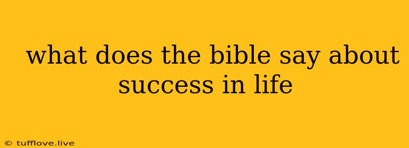  What Does The Bible Say About Success In Life