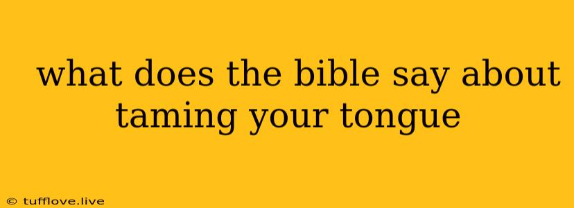  What Does The Bible Say About Taming Your Tongue