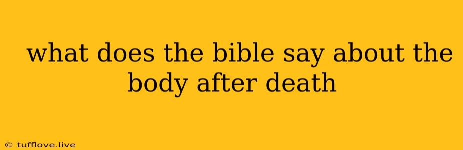  What Does The Bible Say About The Body After Death