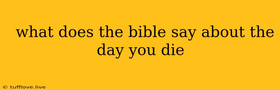  What Does The Bible Say About The Day You Die