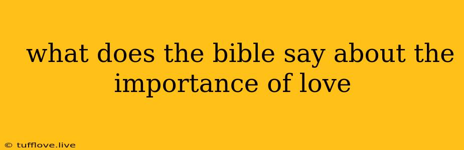  What Does The Bible Say About The Importance Of Love