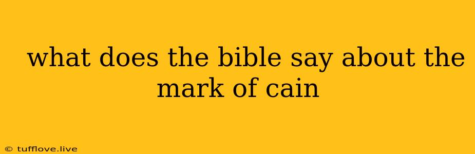  What Does The Bible Say About The Mark Of Cain