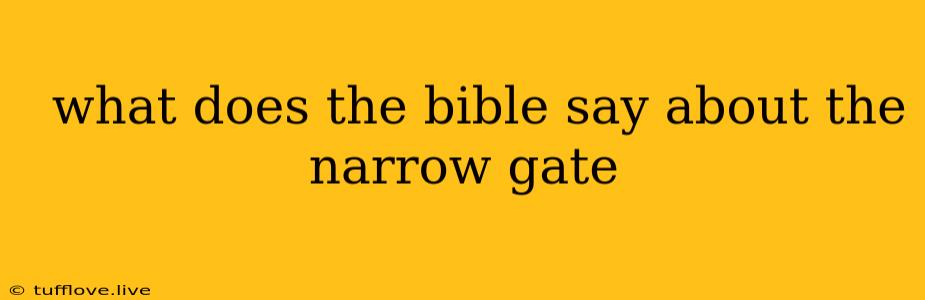  What Does The Bible Say About The Narrow Gate