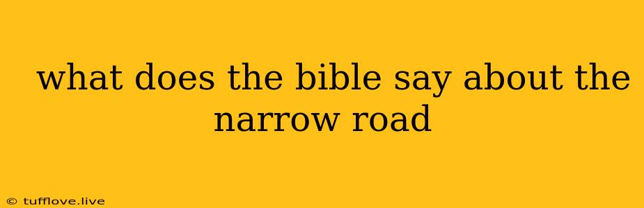  What Does The Bible Say About The Narrow Road