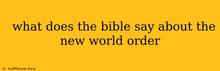  What Does The Bible Say About The New World Order