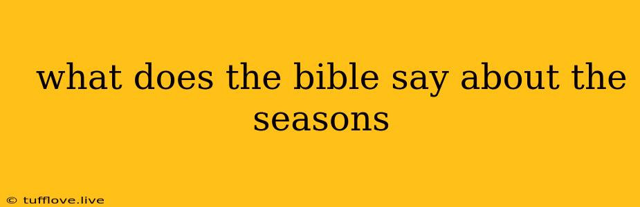  What Does The Bible Say About The Seasons