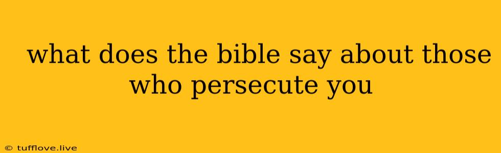  What Does The Bible Say About Those Who Persecute You